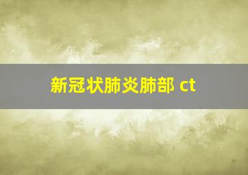 新冠状肺炎肺部 ct